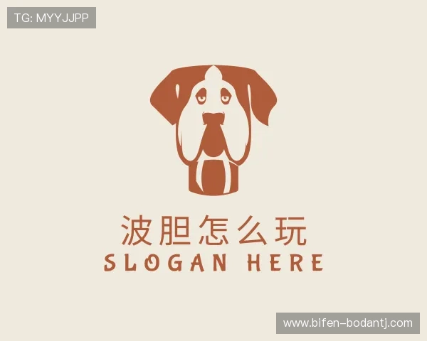 认识波胆足球